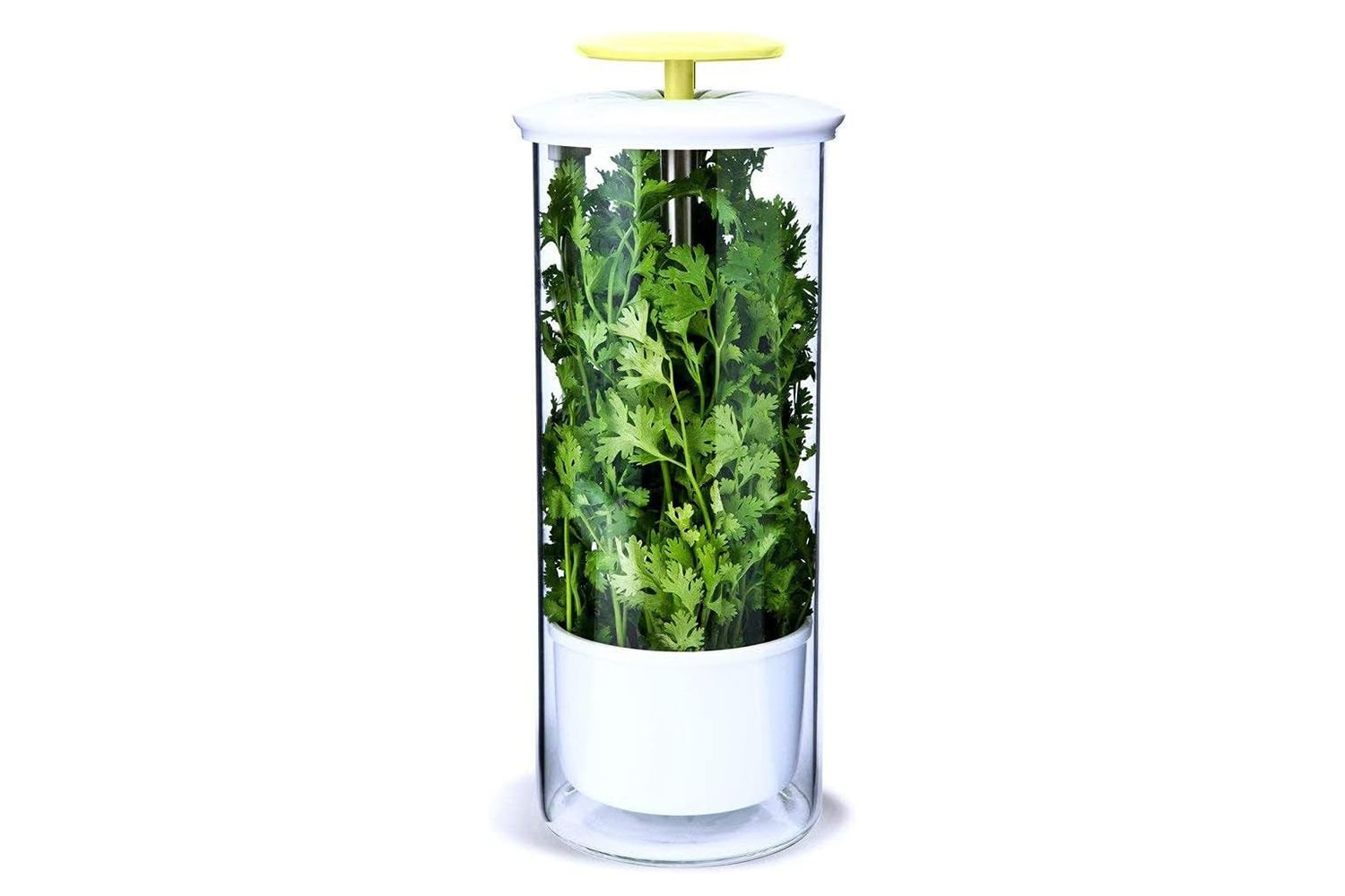 Amazon NOVART XXL Herb Keeper and Herb Saver