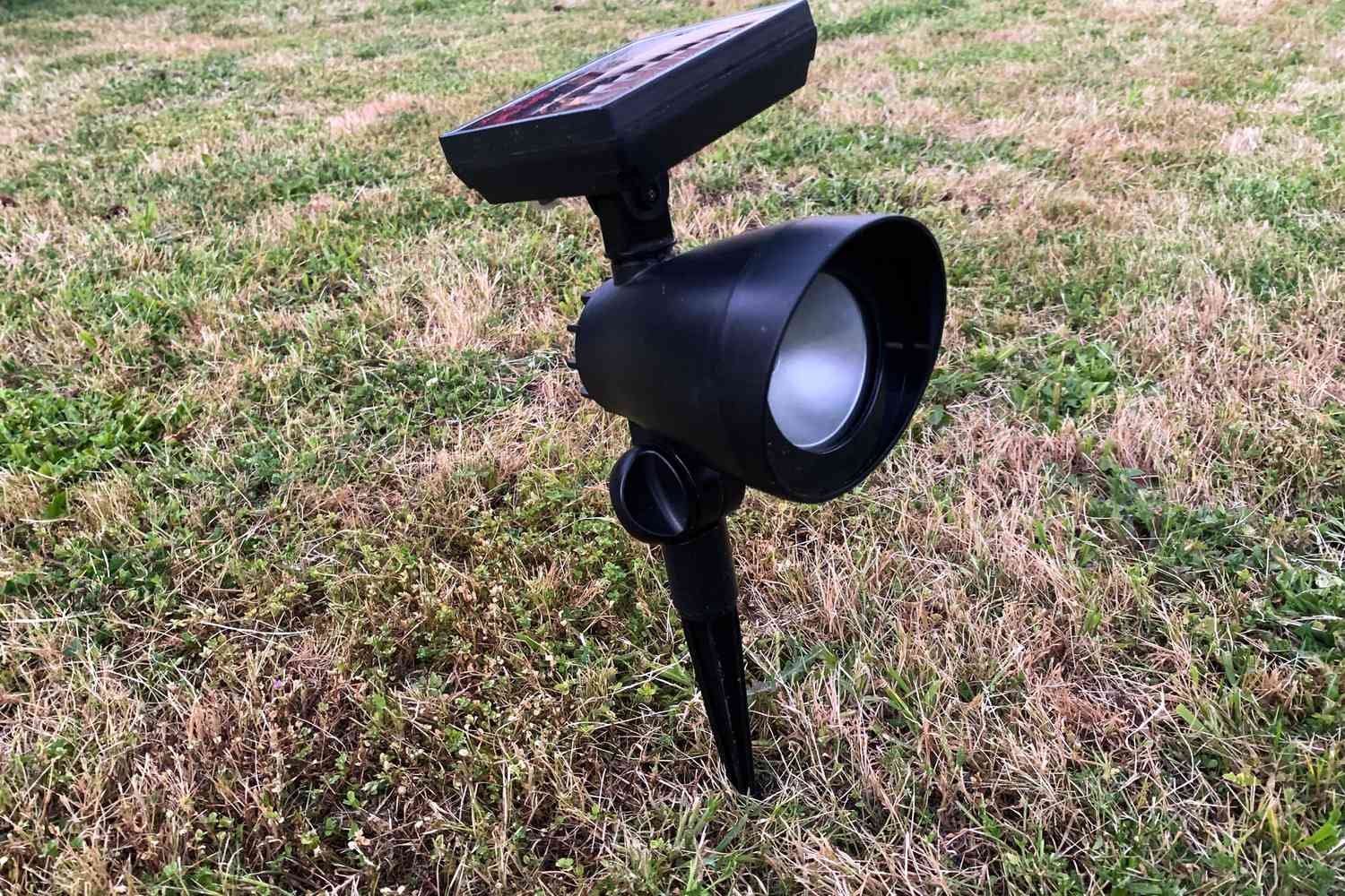 The Hampton Bay LED Outdoor Solar Spotlight in the grass