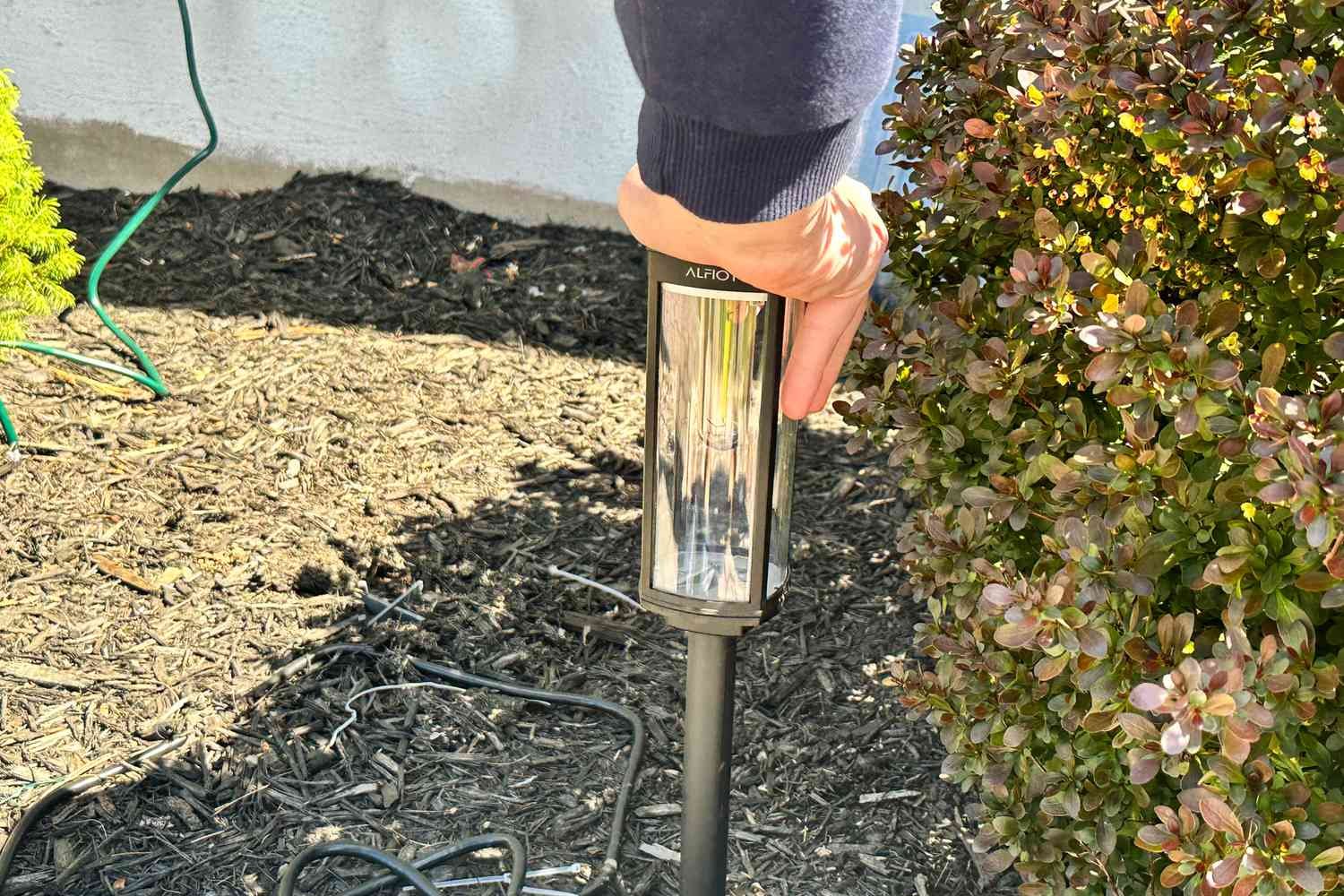 A person installs the Alfiot Solar Pathway Lights