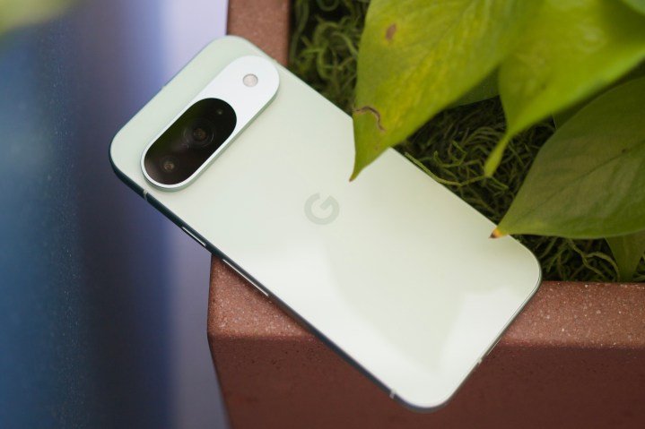 The back of the Google Pixel 9.