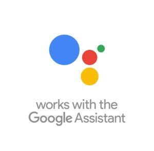 google assistant