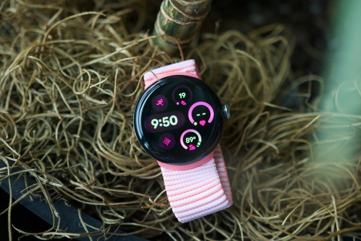 The Google Pixel Watch 3 lying on top of a plant.