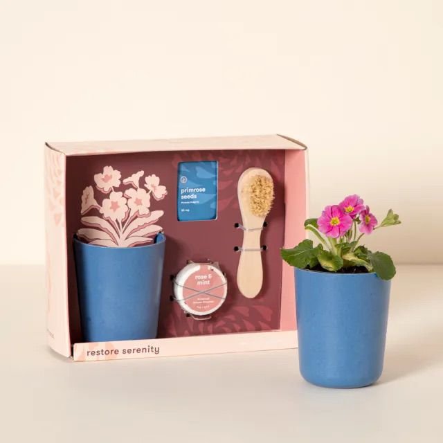 Primrose Grow Kit & Shower Steamer Set