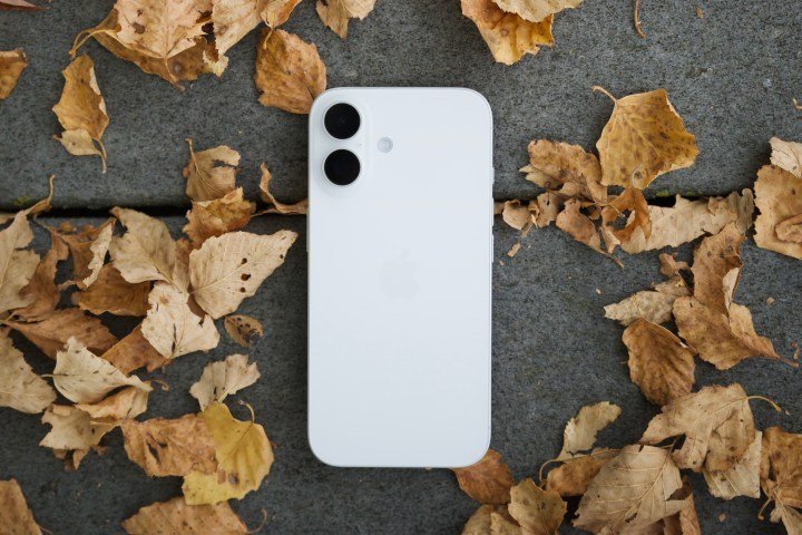 A white iPhone 16 sitting outside, face-down, surrounded by a bunch of leaves.