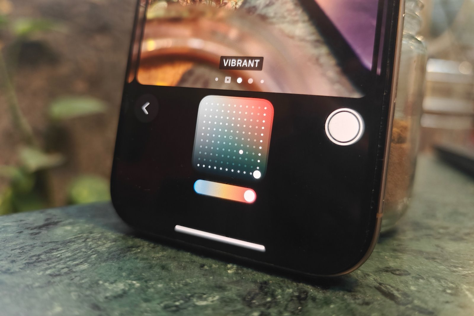 Control pad to adjust Photographic Styles on iPhone 16 Pro.