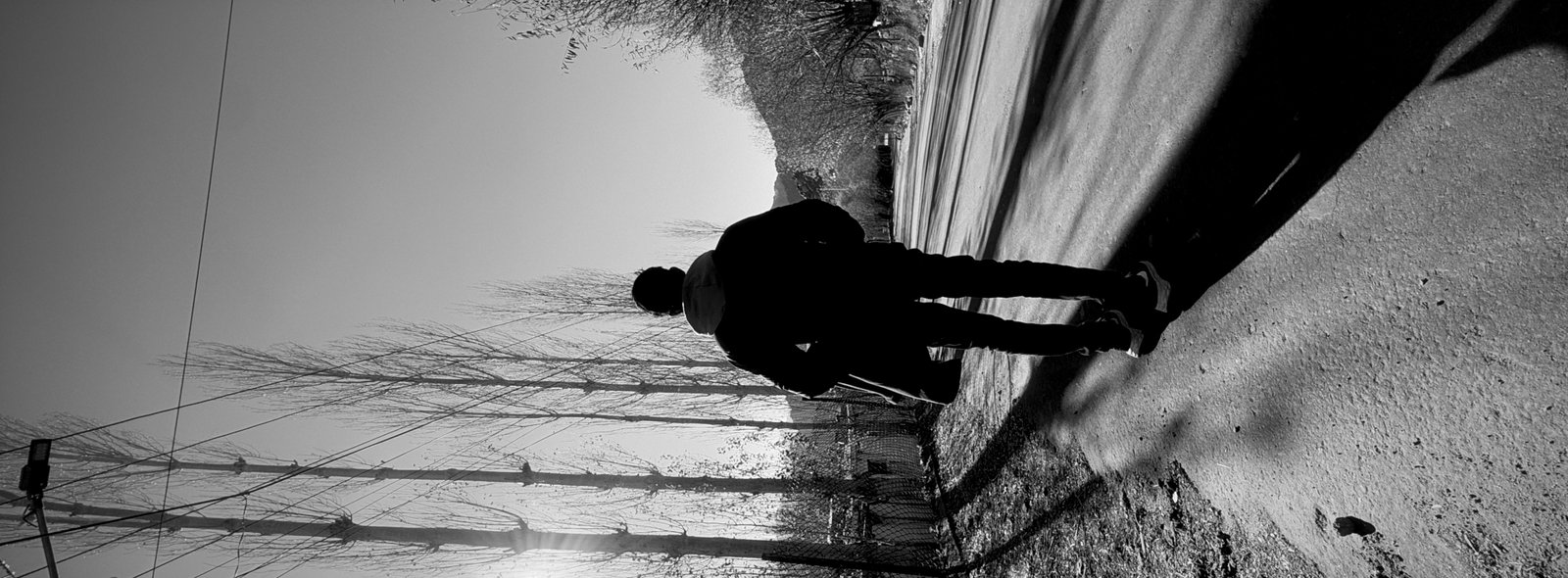 Camera sample clicked by XP4N app in Contrast mode.
