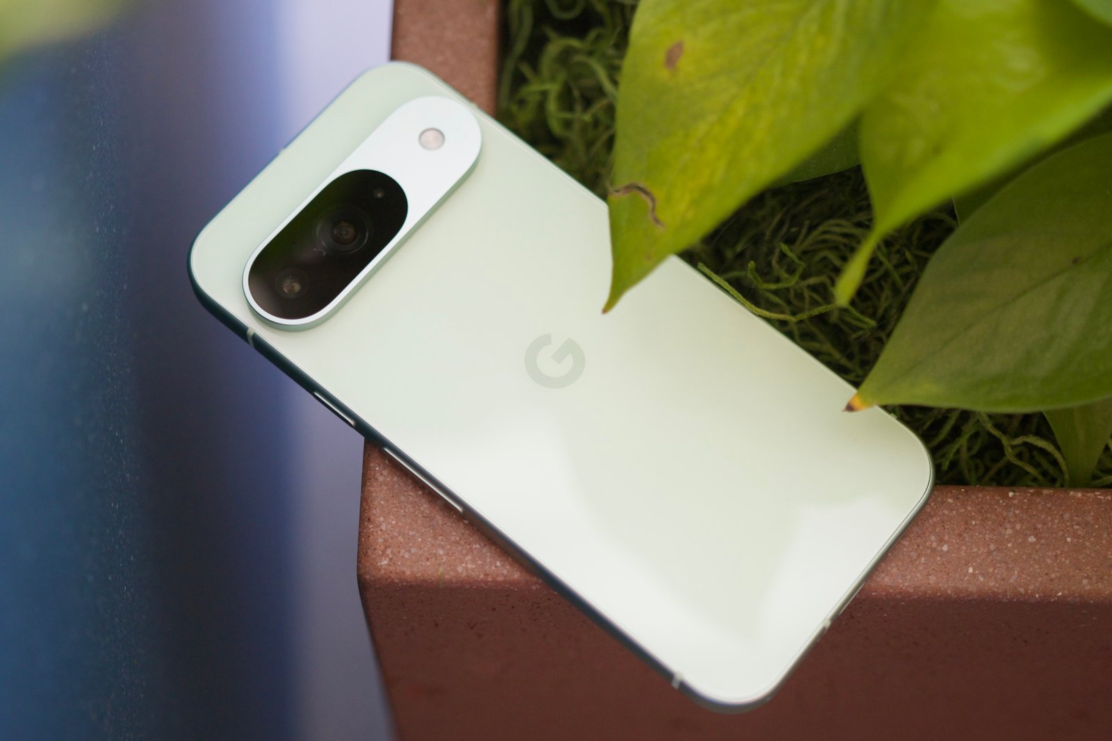 The back of the Google Pixel 9.