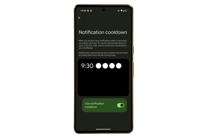 Notification Cooldown toggle in Android 16.