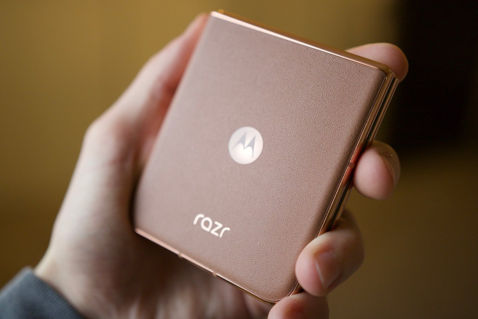 The back of the Mocha Mousse Motorola Razr Plus 2024.