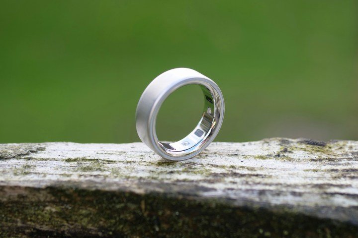 The Oura Ring 4's inner covering.