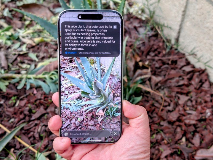 Using Visual Intelligence on an iPhone 16 Pro showing ChatGPT answer.