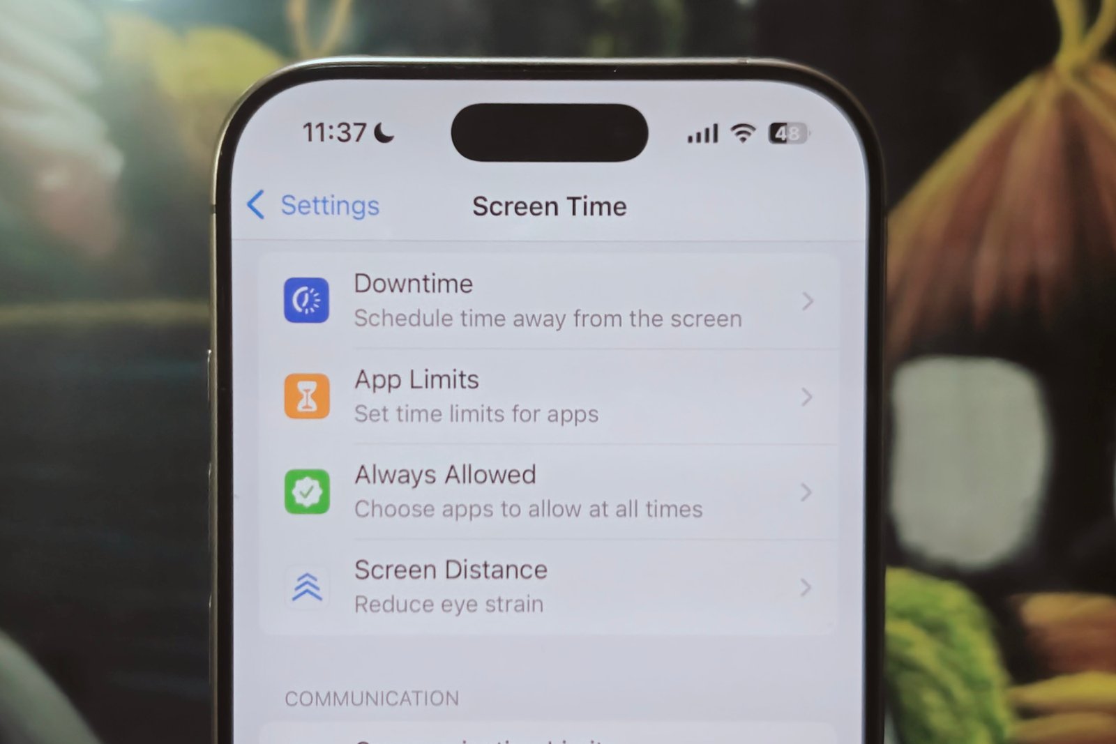 Screen time dashboard on iPhone.