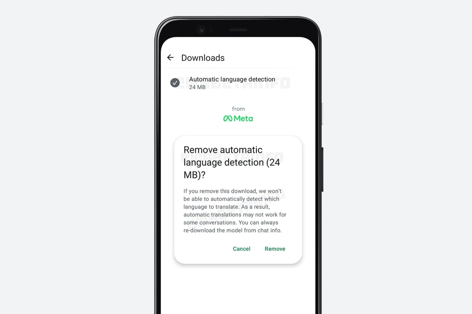 Downloading language translation package in WhatsApp.