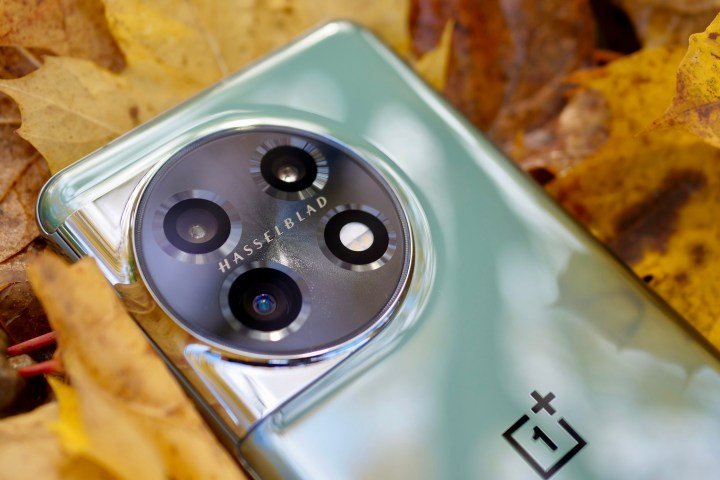 The OnePlus 11 on some leaves, showing the camera.