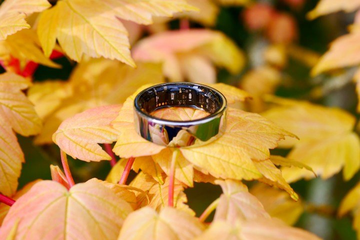 The Noise Luna Ring showing its sensor array.