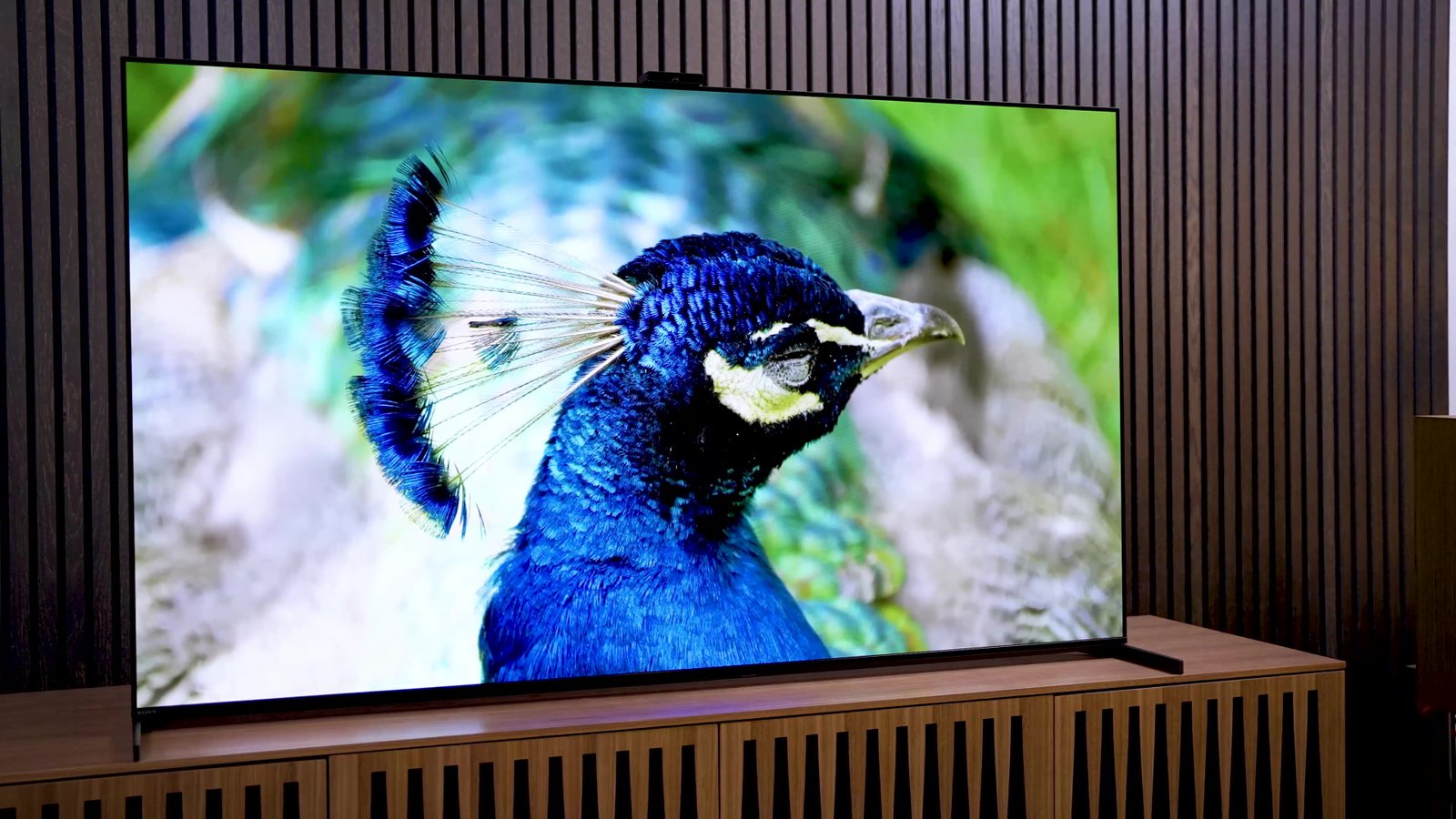 Sony A95L QD-OLED Review