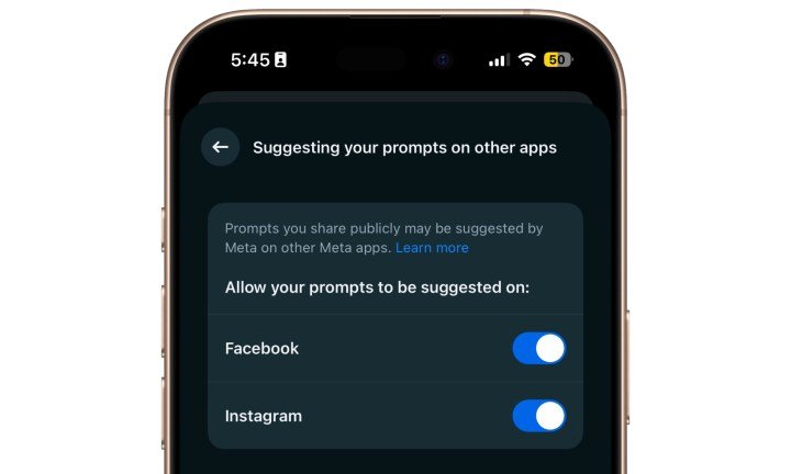 Instagram and Facebook controls in Meta AI app.